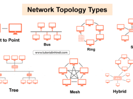 प्राथमिक नेटवर्क टोपोलॉजी (Network Topology Types)