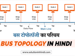 बस टोपोलॉजी का परिचय (Introduction to Bus Topology in Hindi)