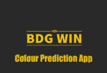 BDG Win
